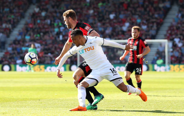 本土新星洛 本土新星洛