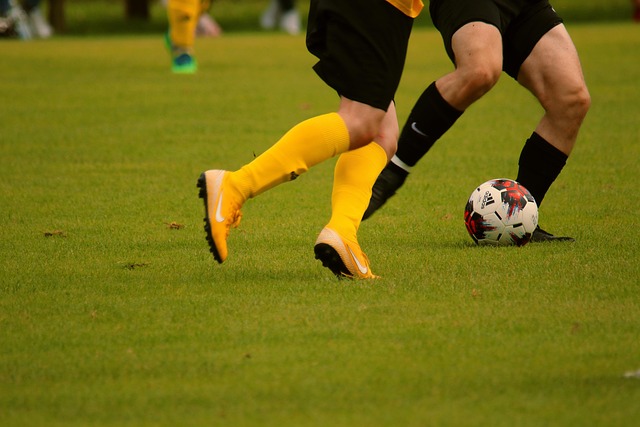 在即将到来 在即将到来